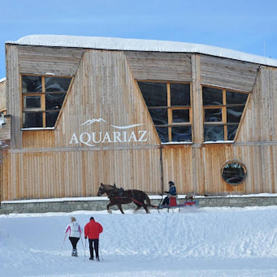 Avoriaz - Portes Du Soleil : Aux Pieds Des Pistes *